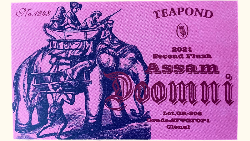 ティーポンドの2021年アッサムドゥームニ茶園のセカンドフラッシュの説明カードの表面