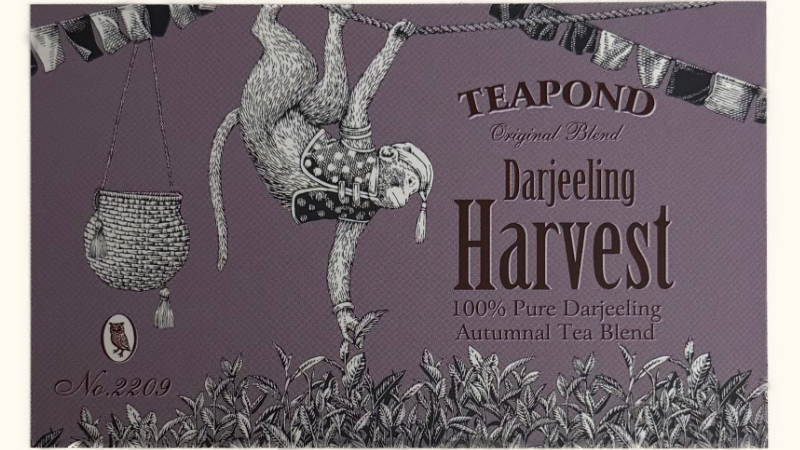 ティーポンド ダージリン ハーベストの説明カードの表面